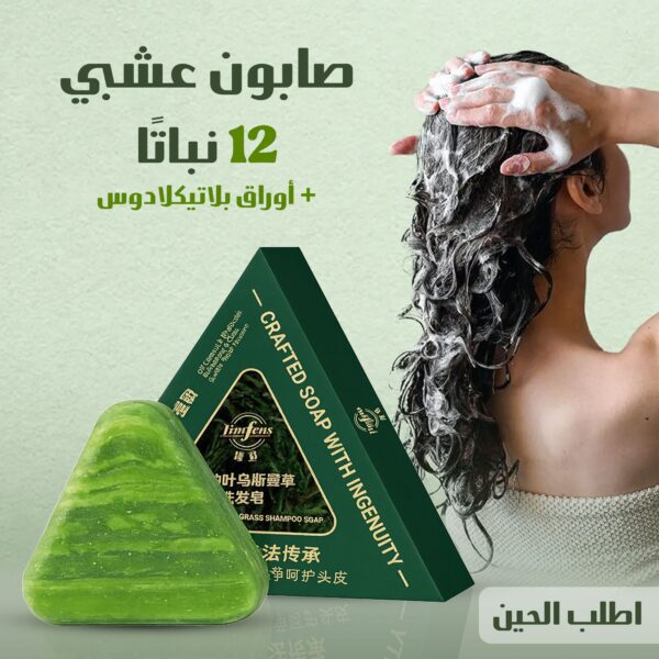 عرض 2 صابون عشبي من ١٢ نباتا مع أوراق بلاتيكلادوس