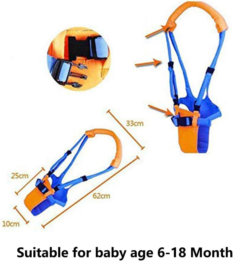 • حزام تعلم المشي للأطفال الصغار الصورة 2