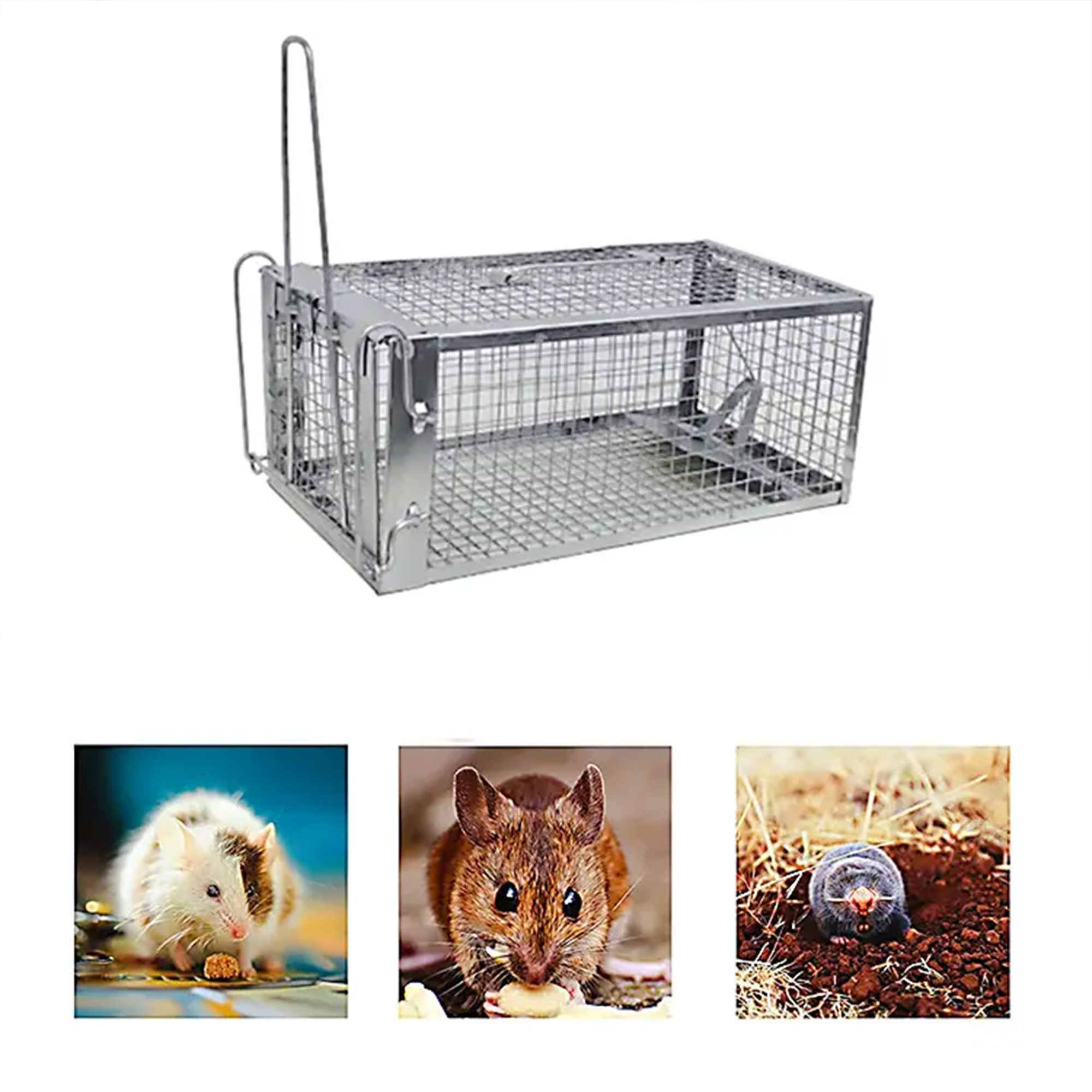 • مصيدة الفئران سهلة الاستخدام الصورة 2