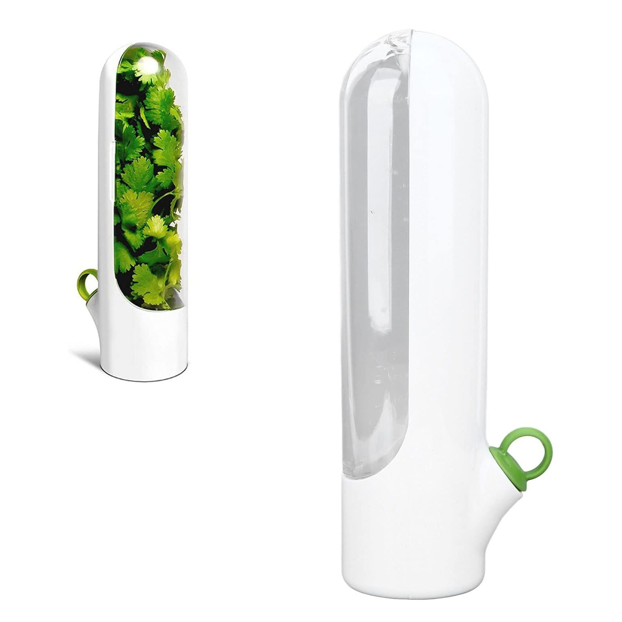 حافظة الأعشاب الطازجة