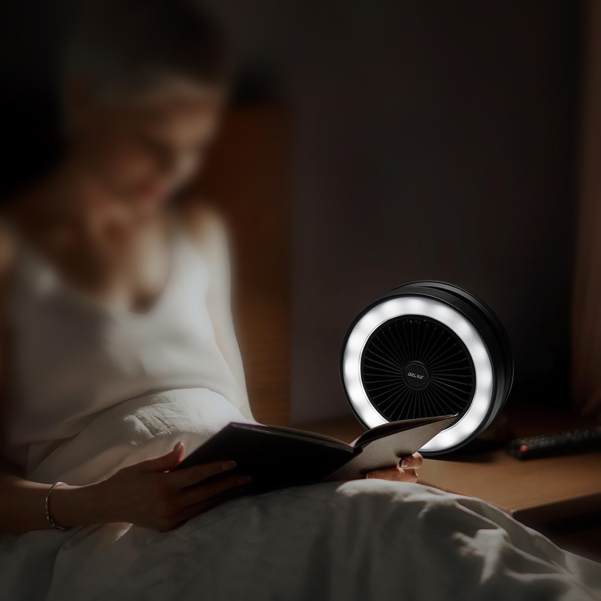 مروحة و مكبر صوت محمولة الصورة 9