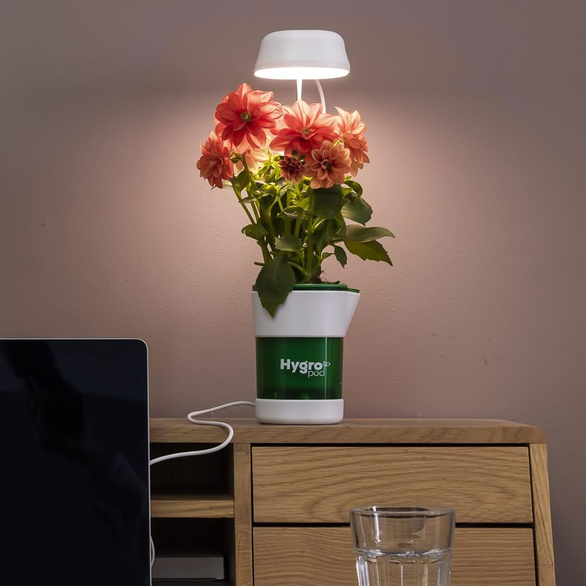 نظام زراعة مائى الحديث الصورة 7