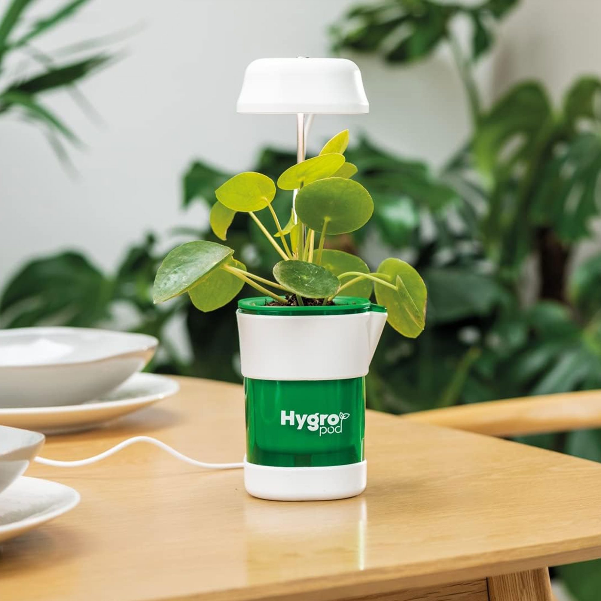 نظام زراعة مائى الحديث الصورة 6