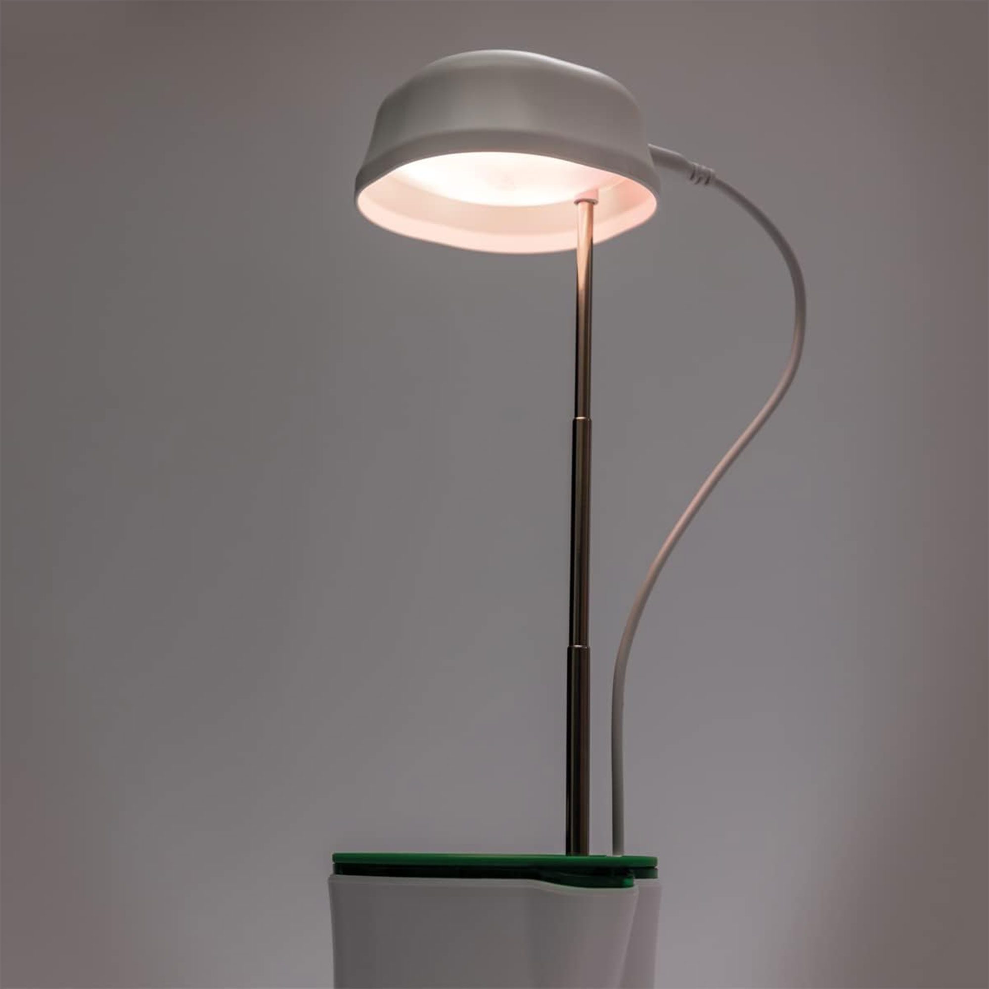 نظام زراعة مائى الحديث الصورة 4