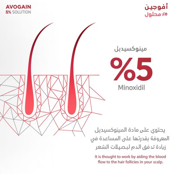 Bd7a6ce9 c241 4a71 ad9f 94ceda681f86 600x600