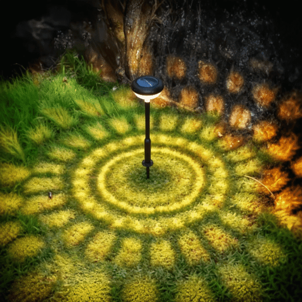 C8b24970 042a 466a b054 7db611a7a454 600x600